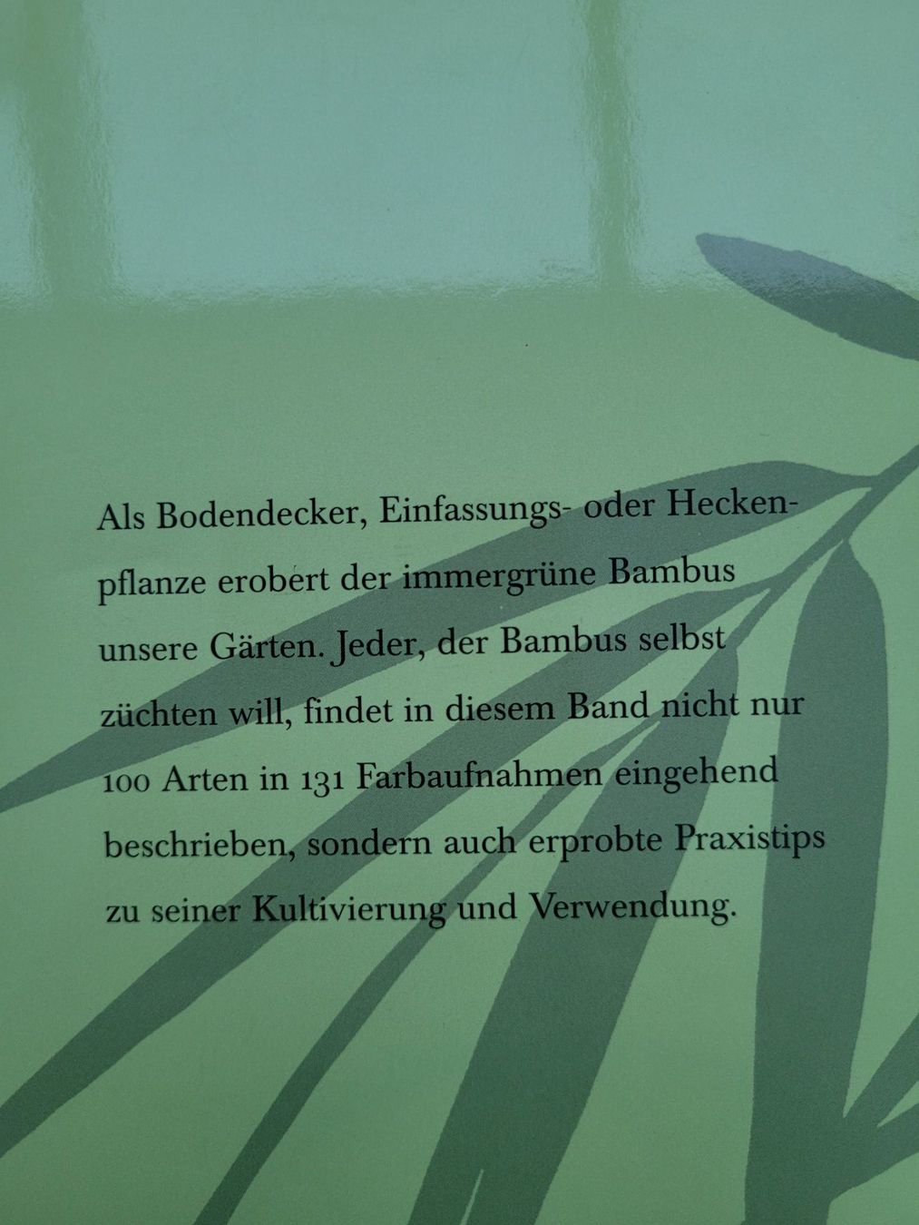 Libri: Bambus – Usato da SCHÜBELBACH venduto da CoKaHa 2