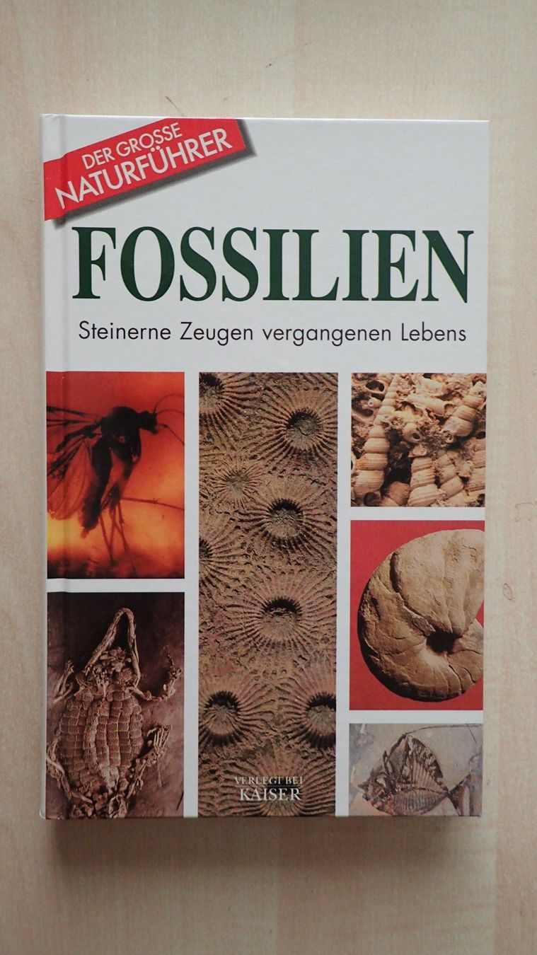 Libri: Fossilien Buch in Farbe – Usato da Rickenbach BL venduto da Oktober68