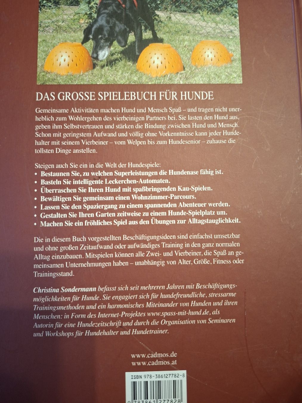 Libri: Hunde beschäftigen – Usato da Teufen AR venduto da nad_55nm 1