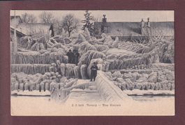 VERSOIX - Bise glaciale - Animation