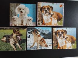 Penelope Holz Puzzle 4x Hundemotive.