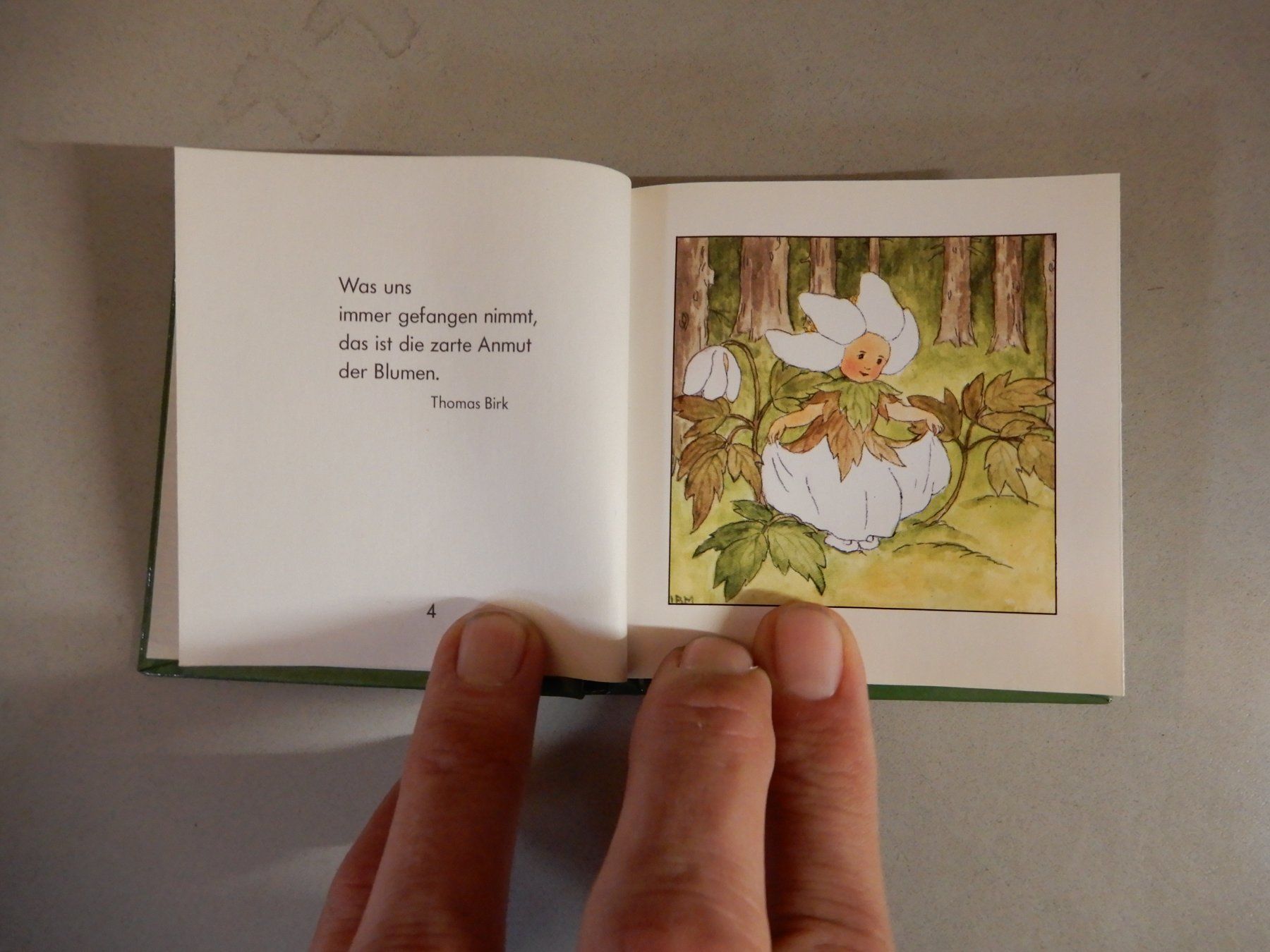 Libri: Blumenkinder - Die kleine Freude - ars edition Buch – Usato da Erstfeld venduto da Mario_boe0 3