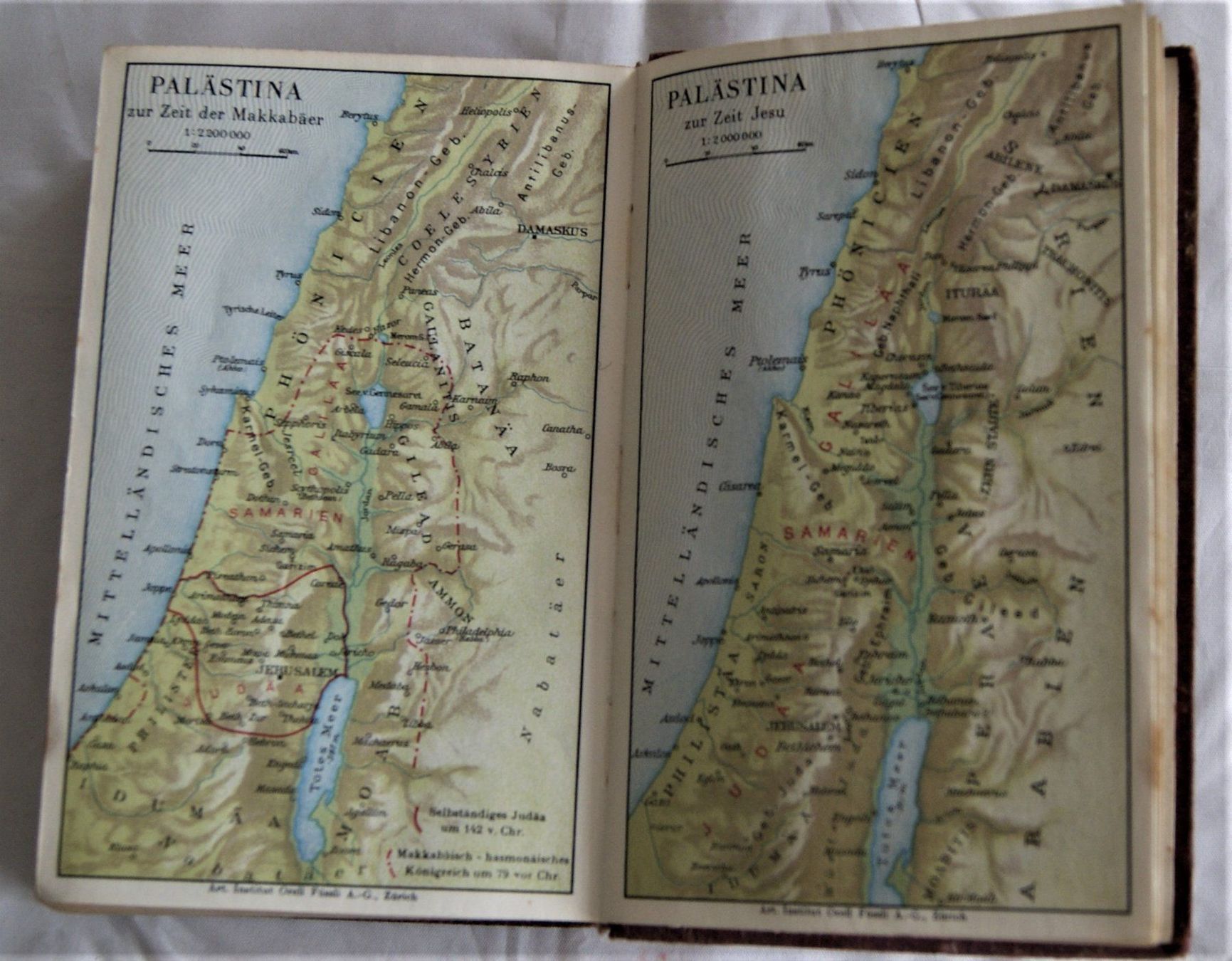 Libri: BIBEL – Usato da Stadel venduto da Wald100 5