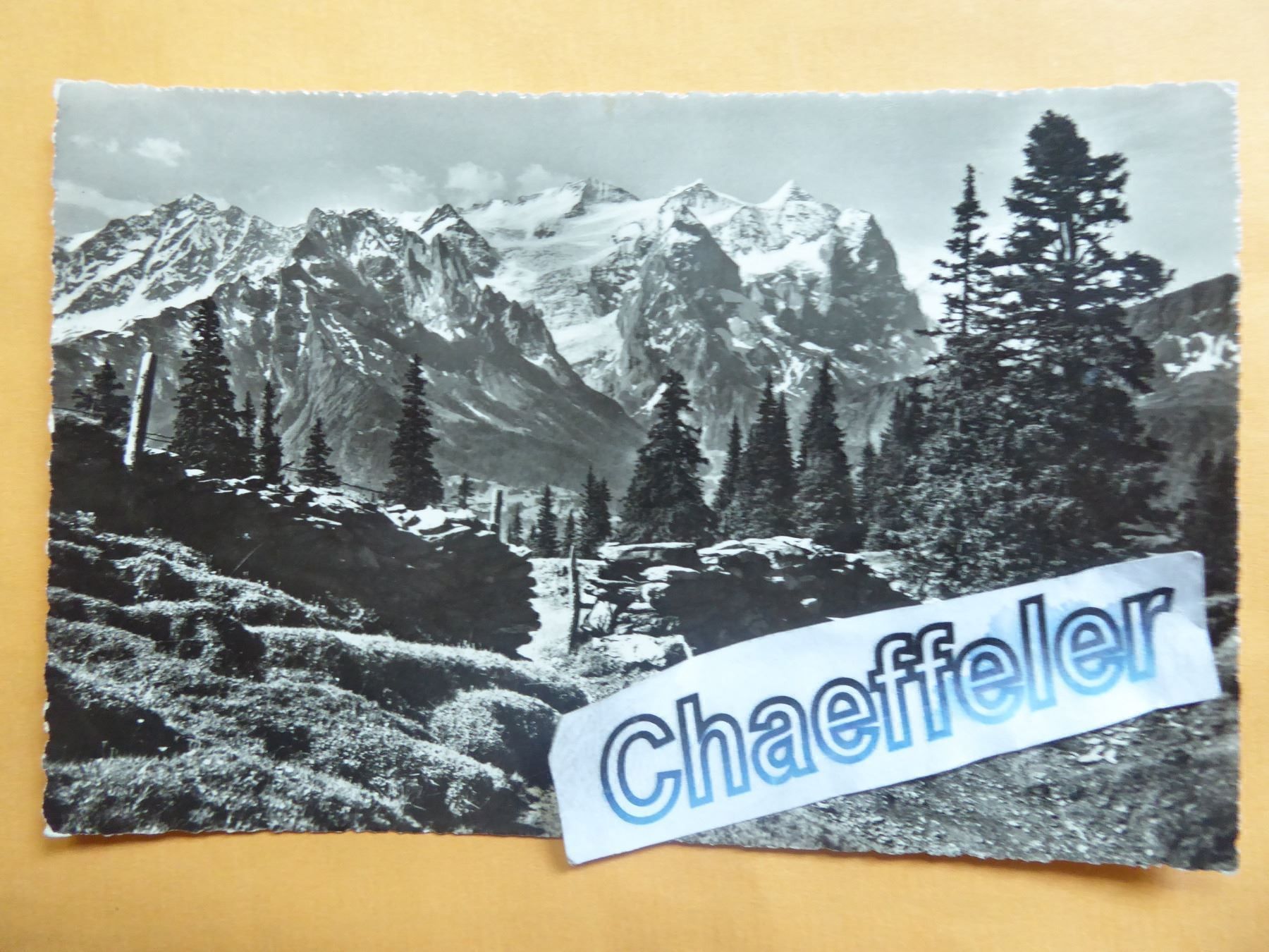 Ansichtskarten: Balisalp mit Wetterhorngruppe – Neu (gemäss Beschreibung) aus Zürich von Chaeffeler