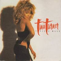 Tina Turner - Typical Male Vinyl (Rare Collector Item)