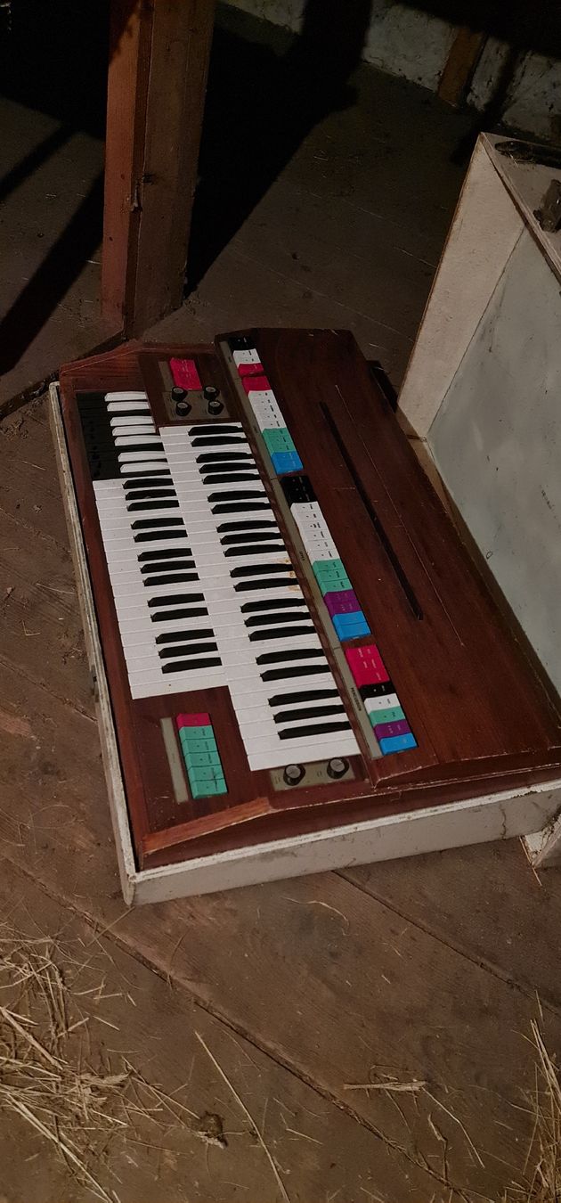 Strumenti musicali: Alte GEM Orgel aus den 60' – Difettoso da Campocologno venduto da Arte2108 8