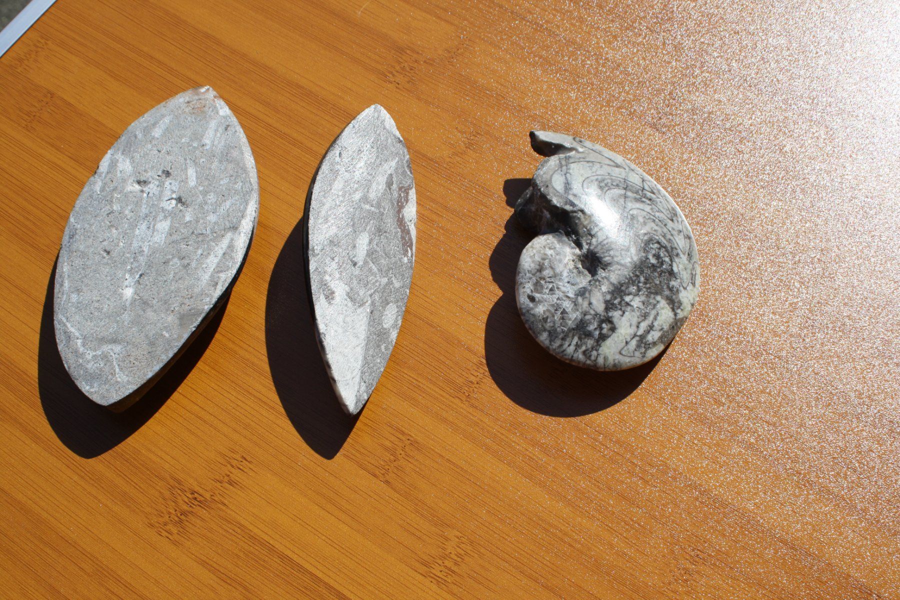 Fossili: 3 SCHÖNE STEINE POLIERT FOSSIL ECHT ?? – Usato da Wauwil venduto da Pneuedy 6