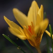 Profile image of mzaech99