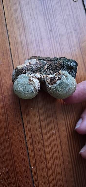 Pietre preziose: Stein aus Mali – Usato da Widnau venduto da Baarbara 1