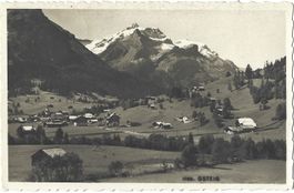 1265.  GSTEIG