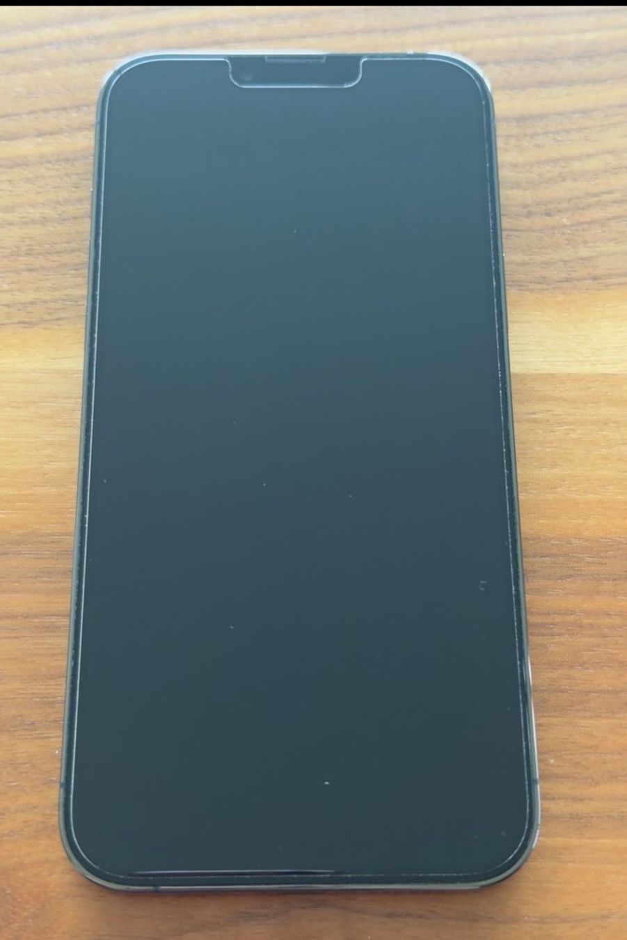 Apple Telefoni cellulari / Smartphones: iPhone 13 Pro Max - Alpingrün- 1 TB Speicher – Usato da Fällanden venduto da fai_n5tr 5