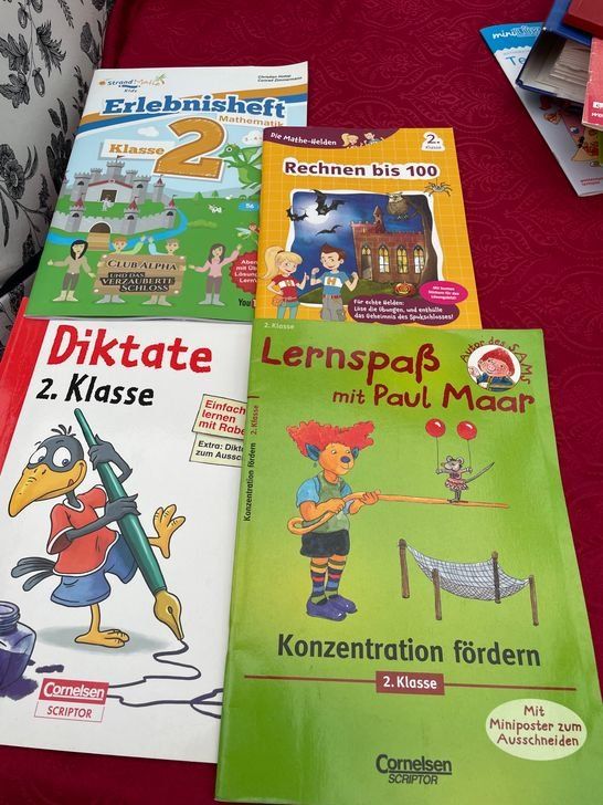 Libri: 4 Lernbücher 2. Klasse – Usato da Bergdietikon venduto da antovale