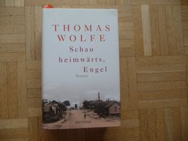 Thomas Wolfe, Schau heimwärts, Engel
