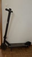 Gonser E-Scooter Pro 25km/h