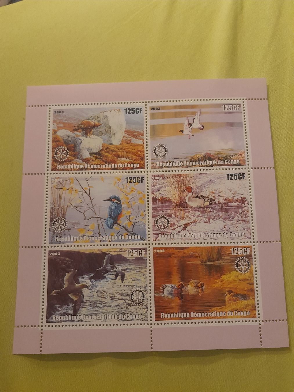 Tutti i francobolli: République Démocratique du Congo - Timbres - Oiseaux – Nuovo (secondo la descrizione) da Marly venduto da globetrotter1723