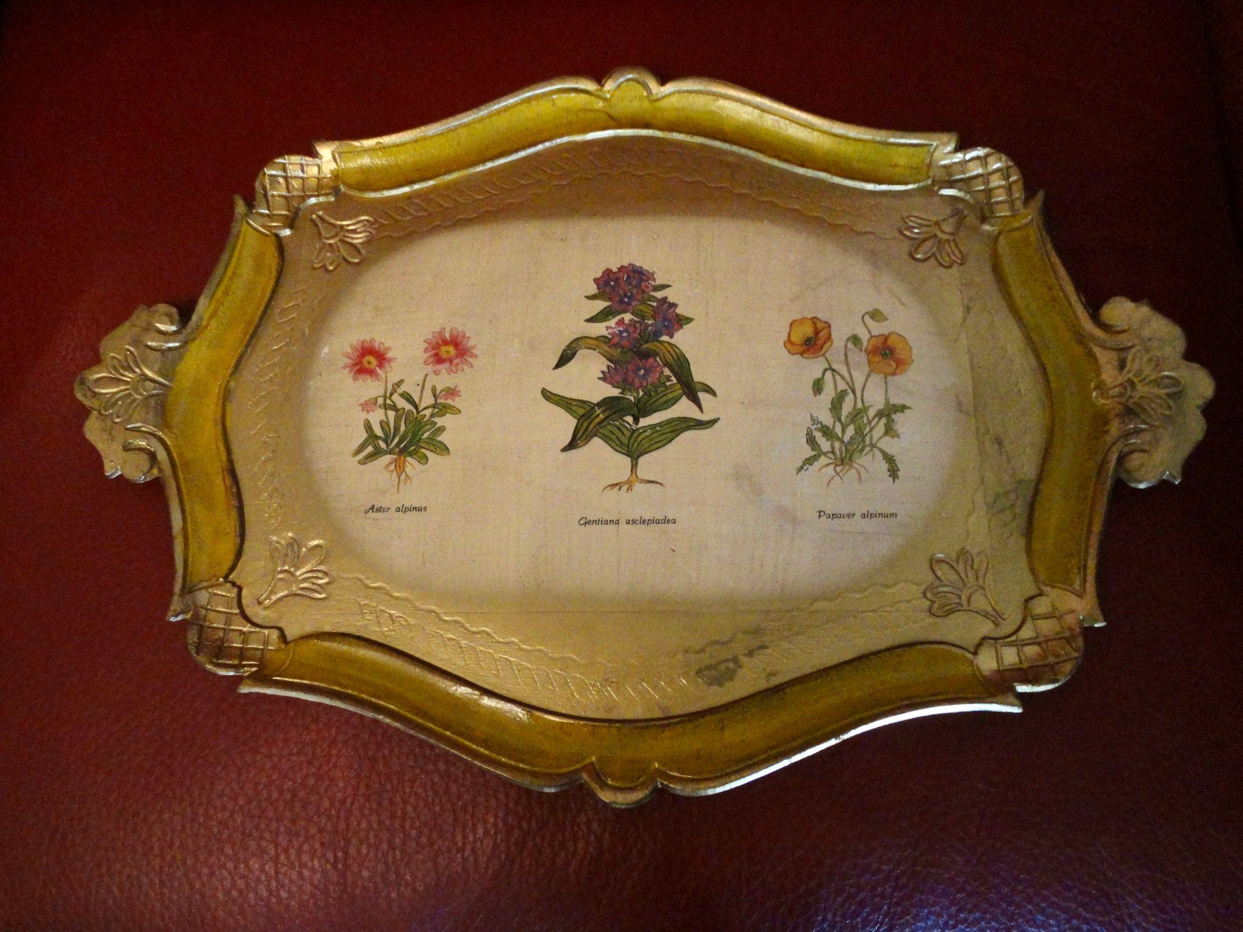 Piatti di portata: Dekorative Vintage Serviertablett mit Alpenblumenmuster. – Usato da WÄDENSWIL venduto da katti01