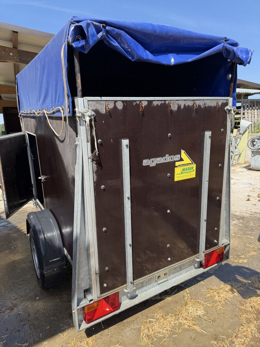 Rimorchi: Viehtransporter – Usato da Neuenegg venduto da tin_gv8m 1