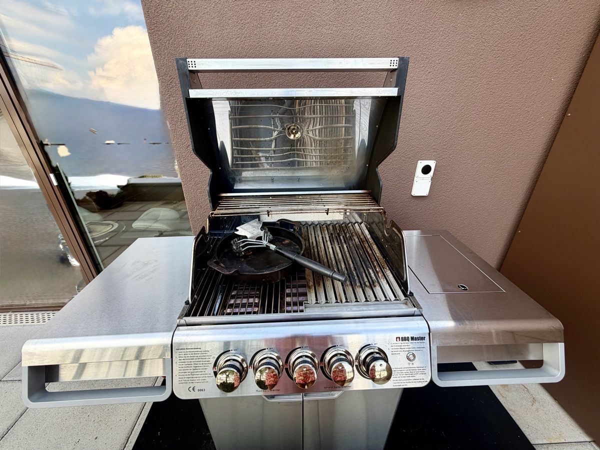 Griglie: BBQ Master L Pro – Usato da Altendorf venduto da asl_c7f8 2