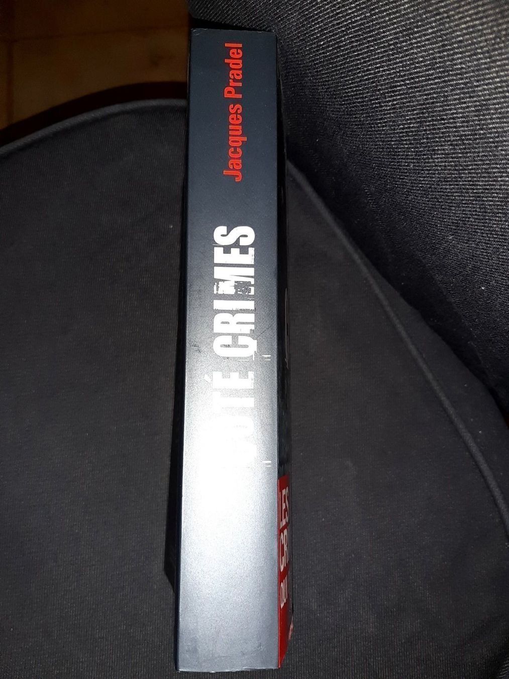 Bücher: Coté crimes – Neu (gemäss Beschreibung) aus Le locle von juliensaran 2