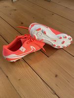 Legend 10 Academy FG/MG Nike