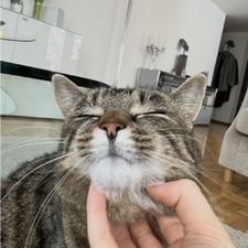 Profile image of Preisknacker
