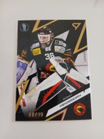 Adam Reideborn gold 08/10 SCB Sportzoo 