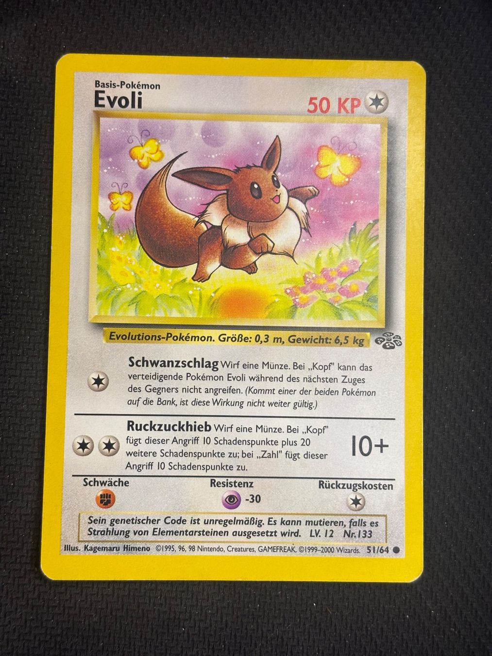 Pokémon Carte collezionabili: Pokemon Evoli 51/64 WOTC Jungle DE – Usato da St. Gallen venduto da KantoKarten