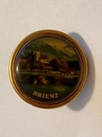 1 Pin Brienz