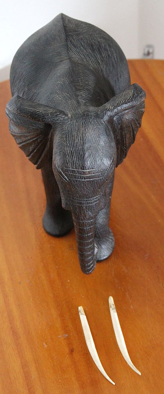 Statuette: Alter Schwerer, Maserholz Elefantenbulle, – Usato da Locarno venduto da fripui 9