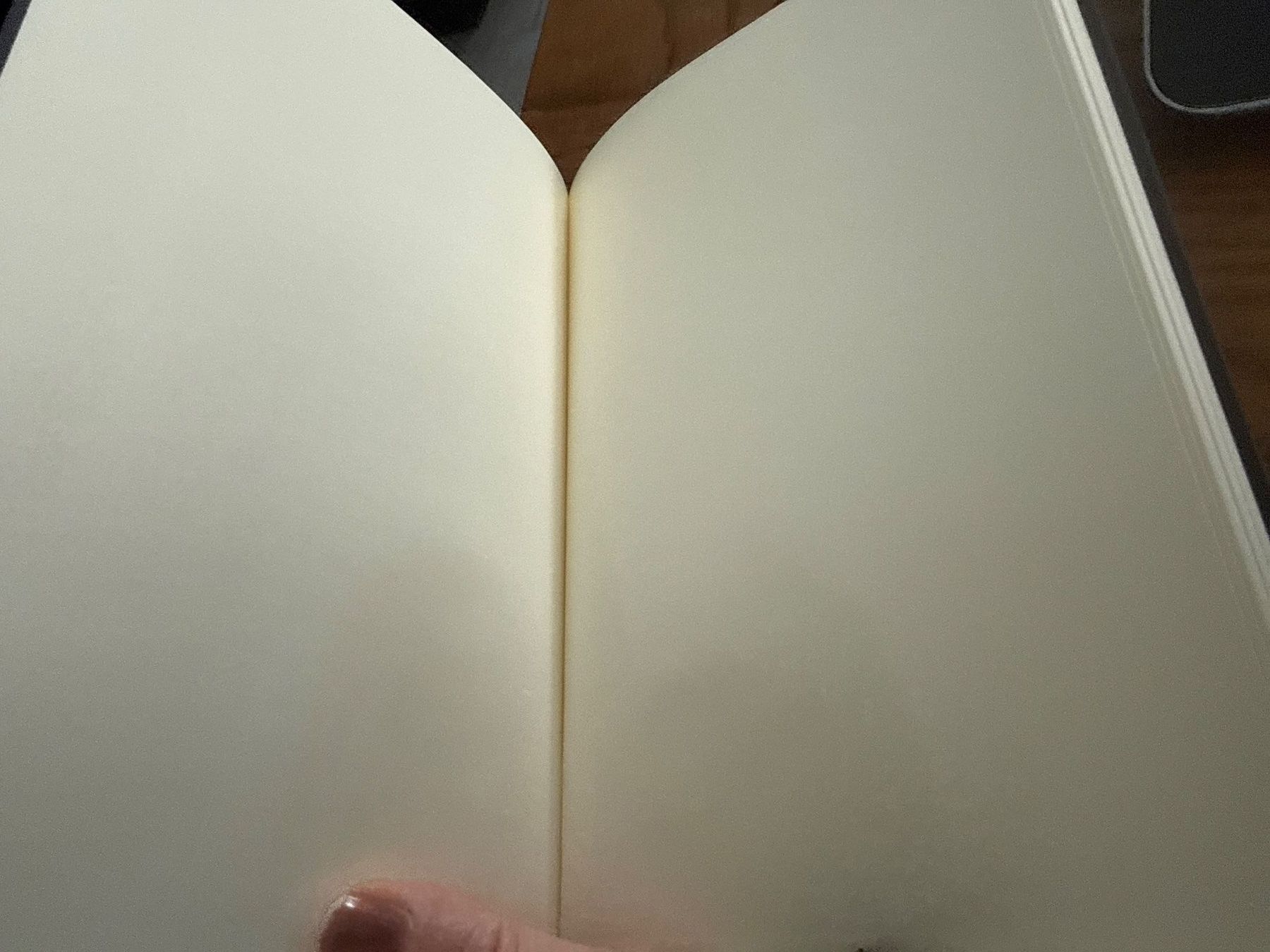 Blocchi: Notizheft-Notizbuch-Eule-Erinnerung-Painten-Selfmade – Nuovo (secondo la descrizione) da Teufenthal AG venduto da MeineSchatztruhe 1