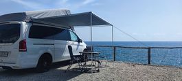 Fiamma F35 Pro 250cm Markise Moby Campers f. Marco Polo W447