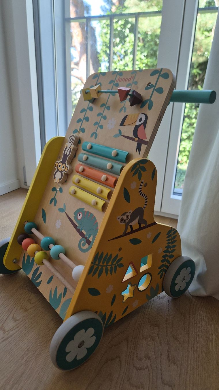 Janod Spielzeuge: chariot de marche  – Gebraucht aus Lausanne von myr_ltk7