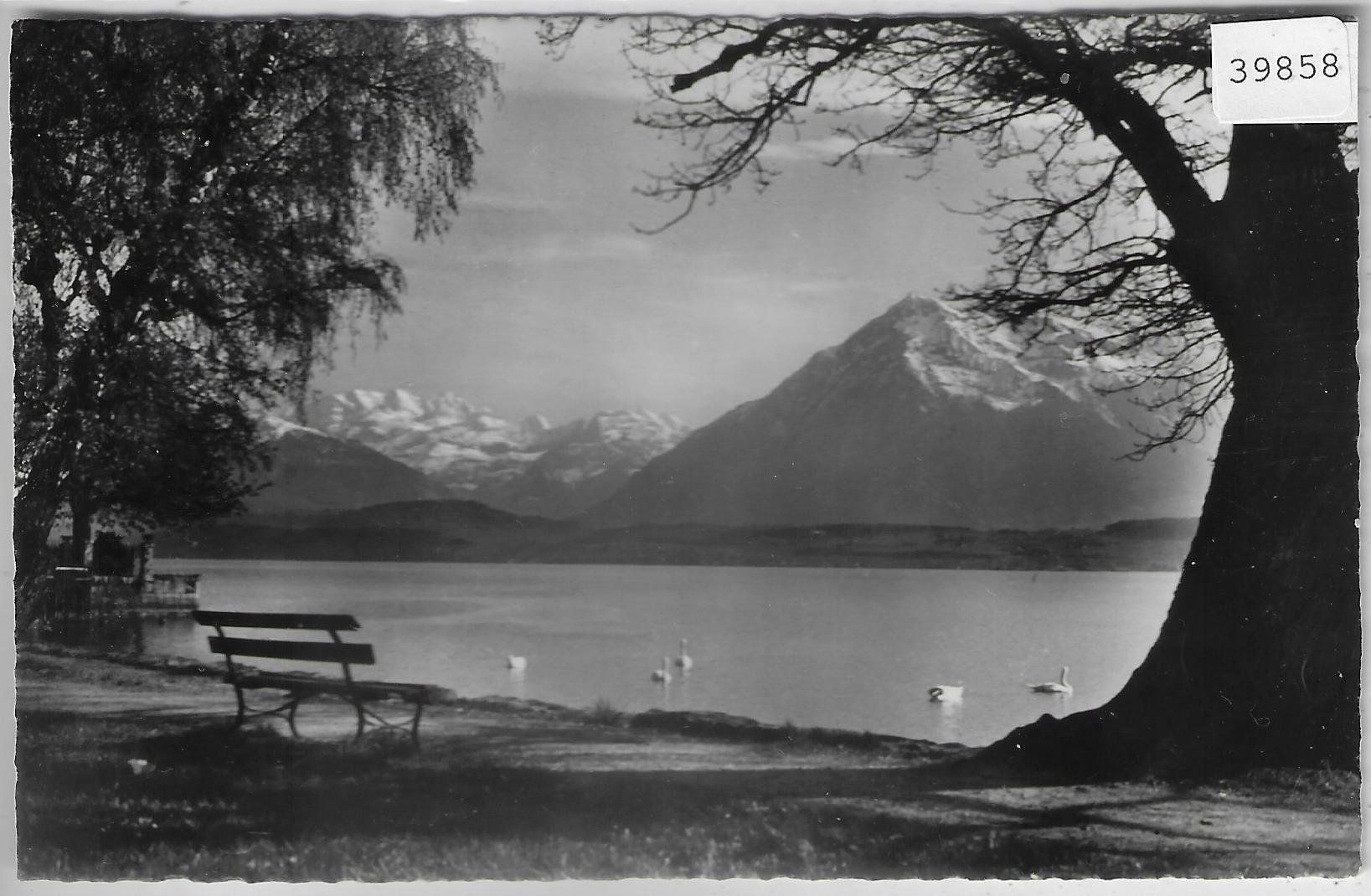 Cartoline postali: Am Thunersee - Blümlisalp und Niesen – Usato da Ettingen venduto da Kartenplanet