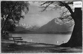 Am Thunersee - Blümlisalp und Niesen