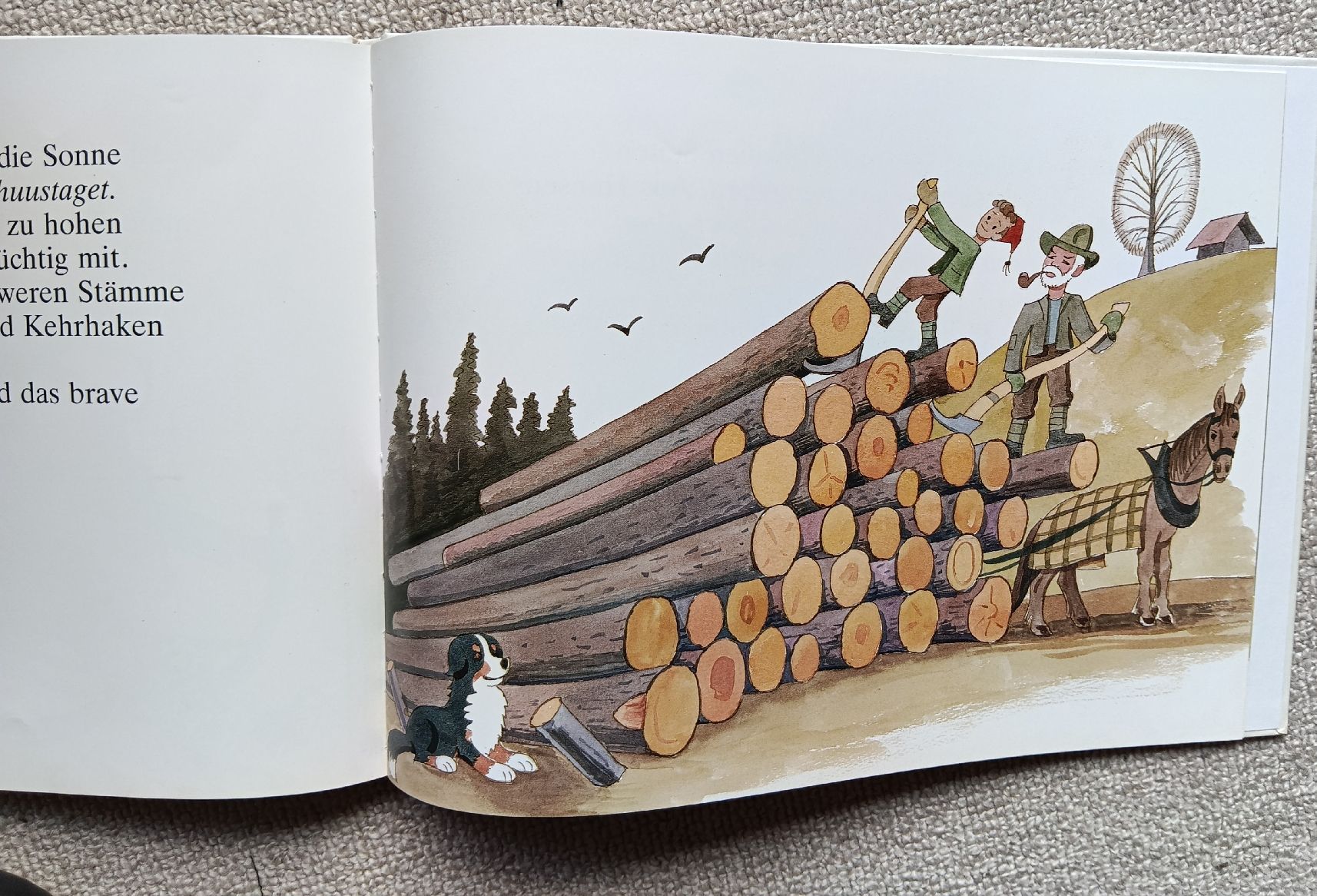 Libri: Der Bueb vom Trieb, Ei Buch vom Emmental neu – Nuovo (secondo la descrizione) da Wettingen venduto da zadina39 4
