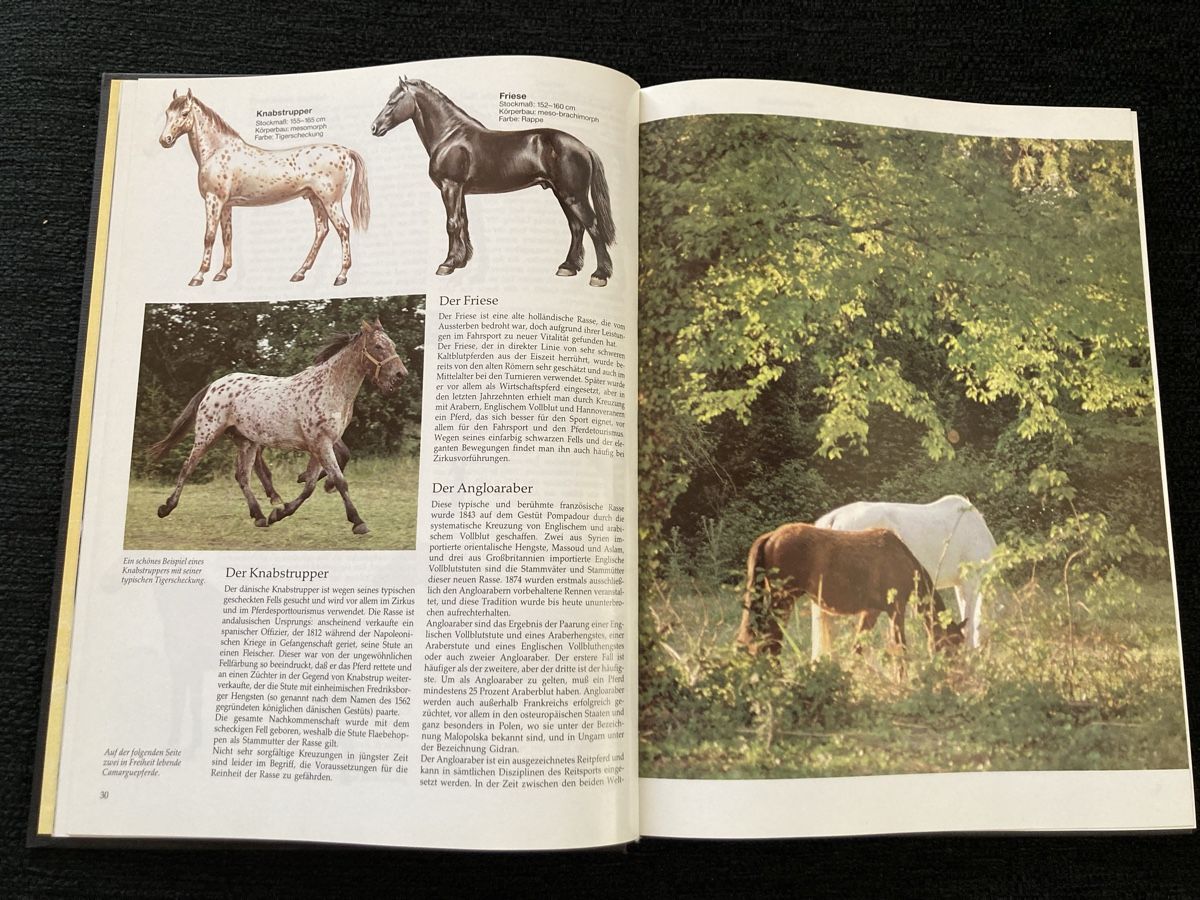 Libri: Das grosse Buch des Pferdes, Pferde, Reiten – Usato da Vinelz venduto da Viewfinder84 3