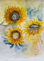 Maria Fischer Walpen, Aquarell, Sonnenblumen,  signiert