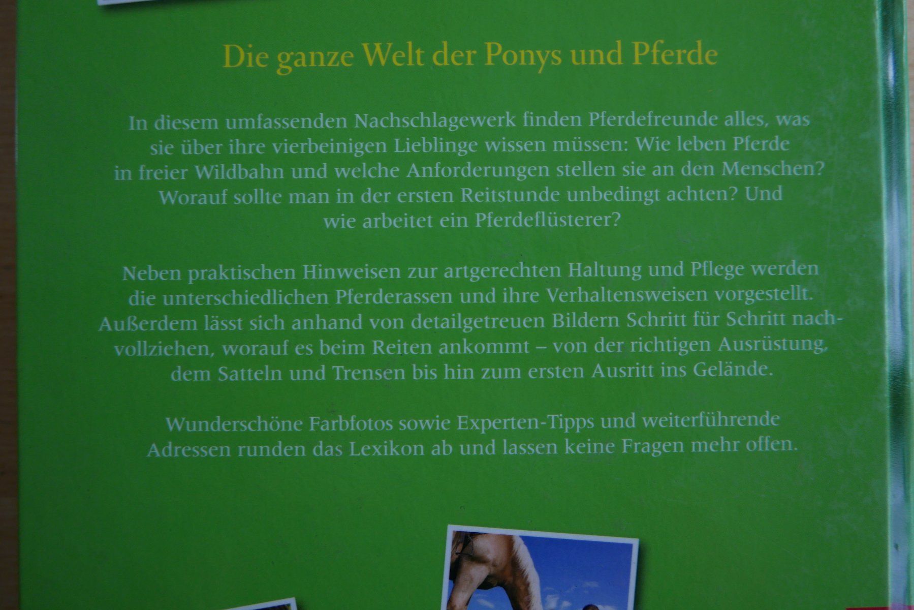 Livres: Buch Mein Pferd und ich – D'occasion à Rotkreuz par nigal 1