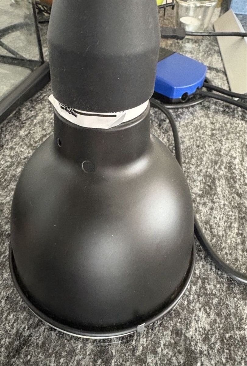 Lampade: UV Lampe mit Vorschaltgerät – Usato da Höri venduto da Peatch77