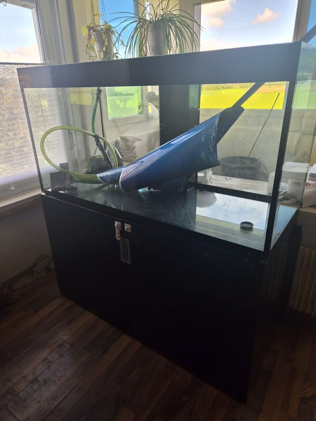 Eheim Aquarium: 450 liter Aquarium mit Aussenfilter – D'occasion à Wikon par casares