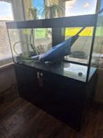 450 liter Aquarium mit Aussenfilter