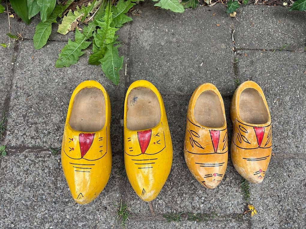 Scarpe da uomo: Original Holländer Holzzoggeli – Usato da Henggart venduto da Iltis2000 3