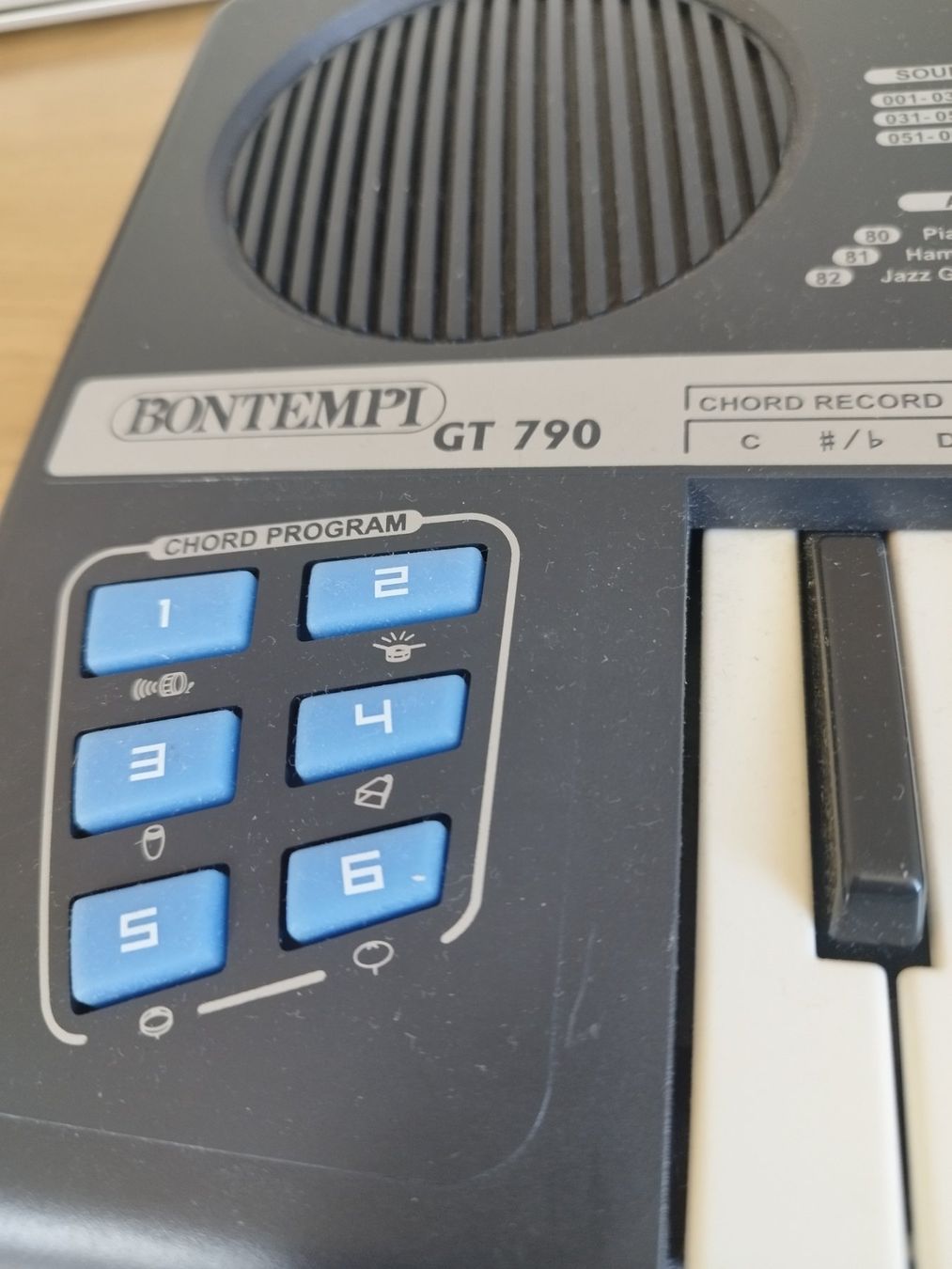 Bontempi Musikinstrumente: Bontempi GT 790 – Defekt aus Vallorbe von Leonidas1337 1