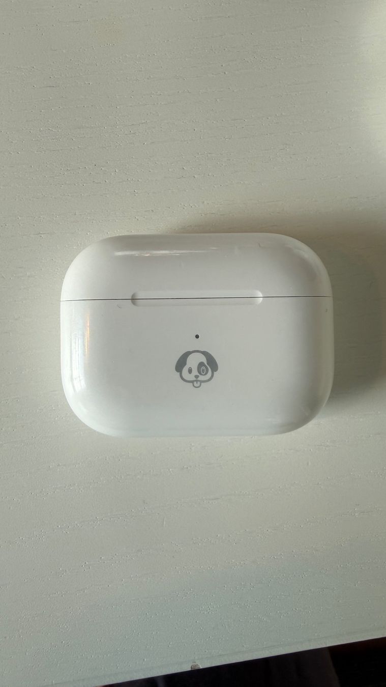 Apple Kopfhörer: Apple AirPods Pro 2 + Ersatzcase & linker Hörer – Gebraucht aus Zürich von ale_5ckb 1