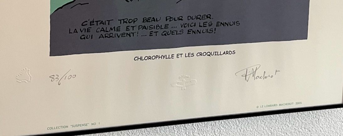 Grafica & Litografie: Lithographie Tintin - numérotée et signée – Usato da Givrins venduto da Nicolux01 2