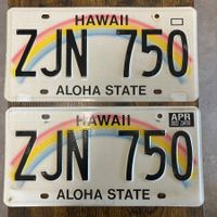 🇺🇸 2x Paar U.S. Autoschild, Hawaii ZJN 750 - ORIGINAL