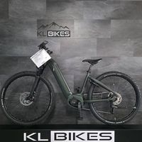 E-BIKE VELO DE VILLE 25KM/H | NEUES BOSCH ELEKTROVELO