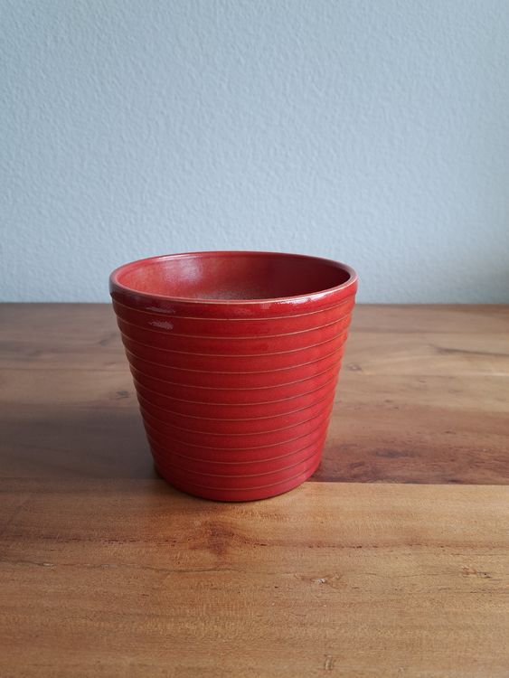 Adonis Blumentopf, 11 Cm, 20 Stück – Mango-rot, Zickzack-Design, Ideal Für Weihnachtssterne & Orchideen