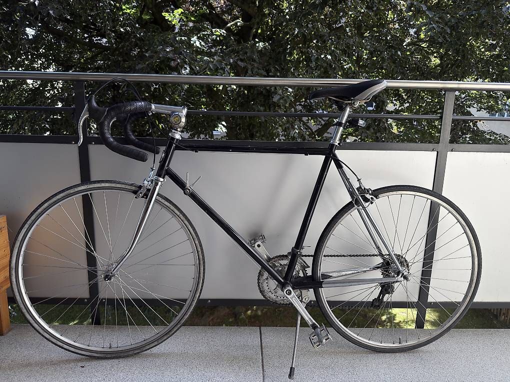 Biciclette: City fahrrad – Usato da Bern venduto da dav_77cw 2