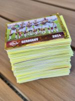 Panini WM26 233 Stk.